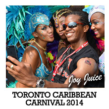 Toronto Caribbean Carnival 2014