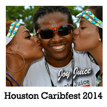 Houston Caribbean Festival 2014