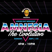 Amnesia 'The Evolution'