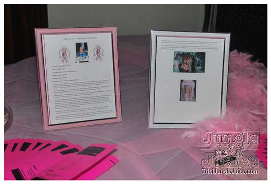 tickled_pink_oct24-001