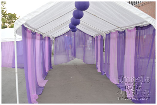 cribs_purple_reign_aug28-001