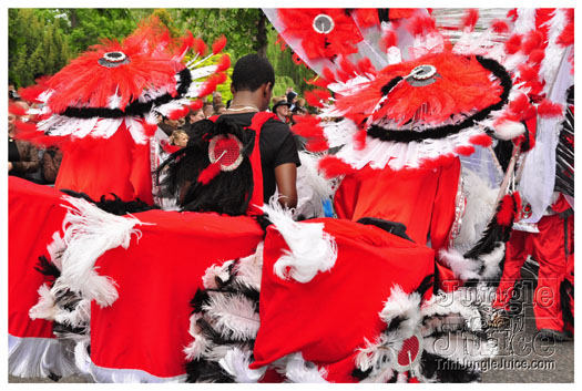 luton_carnival_2010-077