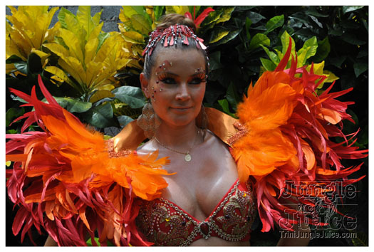 st_lucia_carnival_tuesday_2010_pt1-003