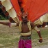 charlotte_caribbean_festival_2011-080