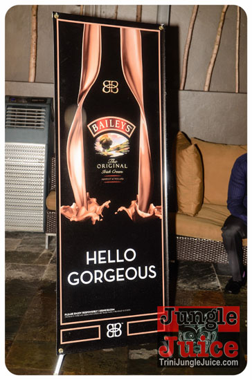 baileys_bottle_launch_nov12-033