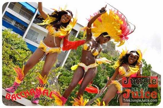 bacchanal_jamaica_road_march_2014_pt1-023