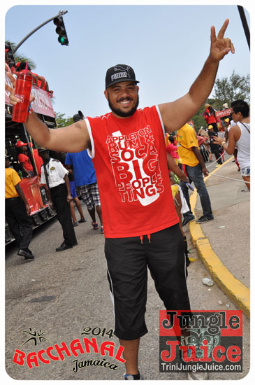 bacchanal_jamaica_road_march_2014_pt2-005