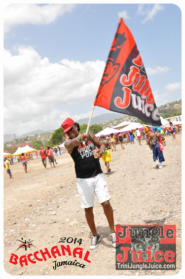 bacchanal_jamaica_road_march_2014_pt2-018