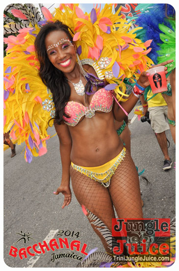 bacchanal_jamaica_road_march_2014_pt2-024