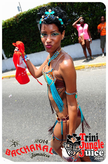 bacchanal_jamaica_road_march_2014_pt4-019
