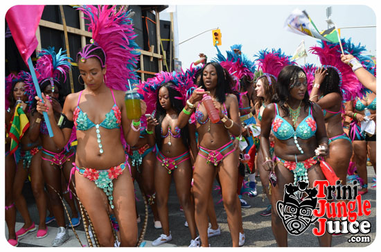 toronto_carnival_parade_2014_pt1-028