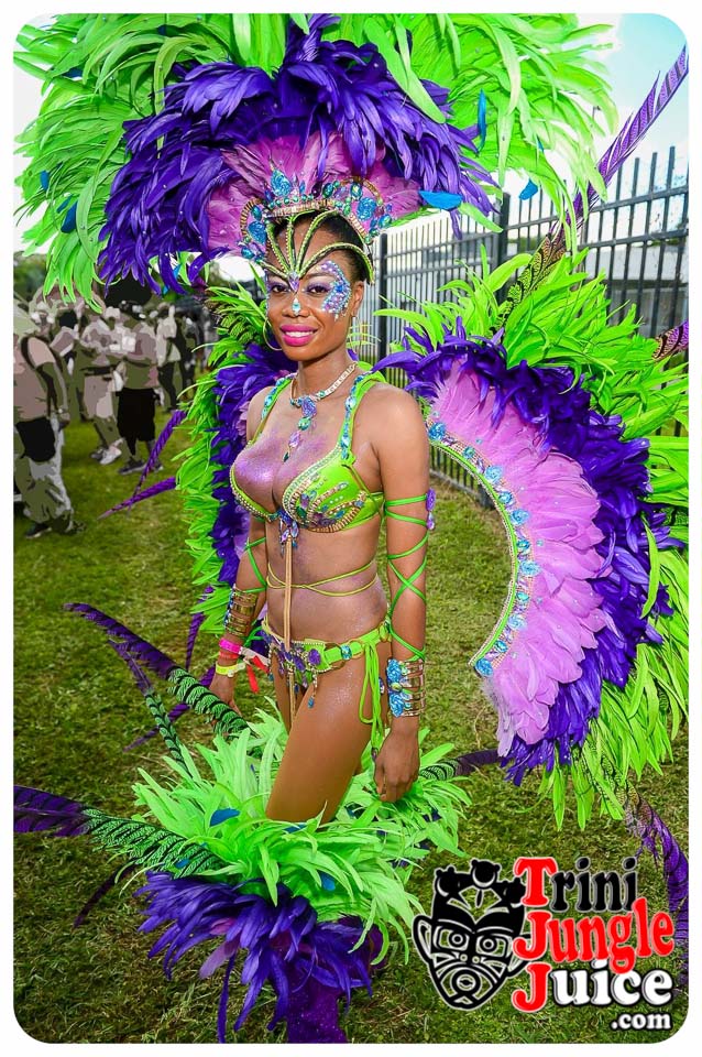 miami_carnival_parade_n_concert_2016_pt7057.jpg (638×960) Miami