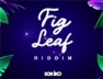 Magical (Fig Leaf Riddim)