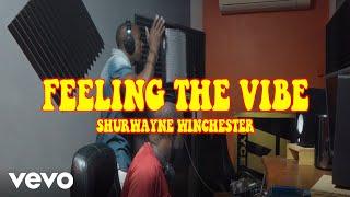 Shurwayne Winchester - Feeling the Vibe (Official Music Video)