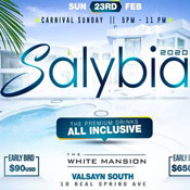 Salybia All Inclusive 2020
