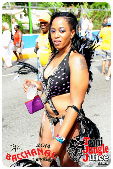 bacchanal_jamaica_road_march_2014_pt5-046